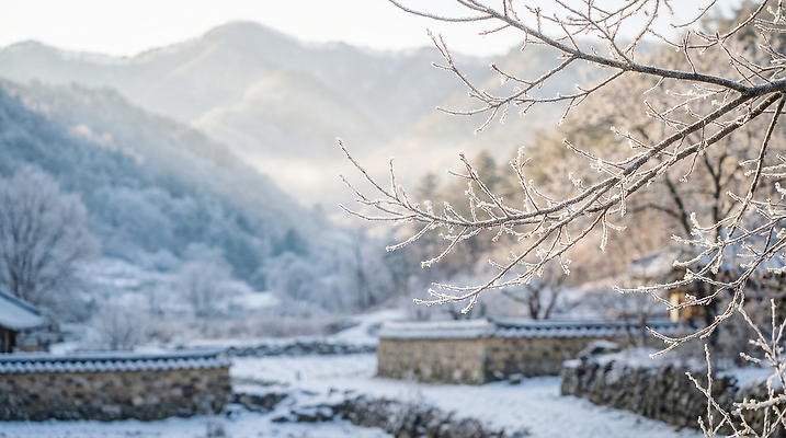 JPG 편집이미지 겨울 자연 아침 산 한국 풍경 얼음 흰색 나뭇가지 차가움 숲 통나무집 편집포토 주간 자연요소 나무 계절 아시아 컬러 주택 생태계 파일형식