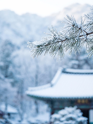JPG 나무 편집이미지 겨울 자연 산 한국 풍경 야외 건물 고요 흰색 기온 편집포토 식물 건축물 계절 아시아 컬러 날씨 생태계 파일형식