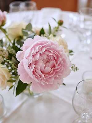 JPG 식물 편집이미지 꽃 분홍색 꽃다발 잎 탁자 결혼식 디저트 이벤트 장식 소풍 흰색 생일 모란 스타일 편집실사 기념일 음식 컬러 가구 결혼 야외활동 CG 파일형식