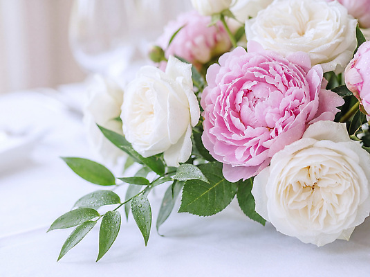 JPG 식물 편집이미지 꽃 분홍색 꽃다발 자연 탁자 이벤트 장식 인테리어 장미 파티 식사 흰색 상차림 조화 편집실사 디자인 컬러 가구 CG 생태계 파일형식