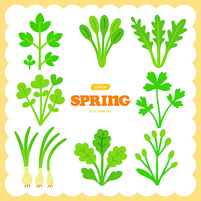 식물 디자인 컬러 잎 농업 채소 일러스트 자연 건강 초록색 정원 봄 신선 원형 허브 향신료 파 국내일러스트 AI파일 도형 계절 산업 생태계 향미료 파일형식 벡터