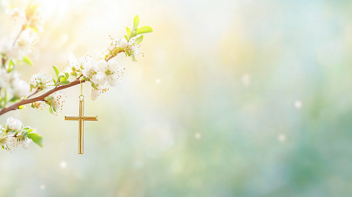 JPG 나무 편집이미지 꽃 기독교 종교 십자가 자연 여름 빛 일출 금속 일몰 봄 과수원 목련 뷰티풀 이미지편집 식물 계절 농업 재질 노을 생태계 파일형식