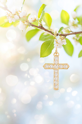 JPG 나무 편집이미지 꽃 기독교 종교 십자가 잎 자연 장식 여름 빛 반짝임 봄 기독교인 만개 이미지편집 식물 계절 모션 생태계 파일형식