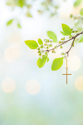 JPG 나무 편집이미지 꽃 기독교 종교 백그라운드 십자가 잎 자연 장식 여름 귀걸이 봄 금색 나뭇가지 흐림 이미지편집 식물 계절 컬러 장신구 날씨 생태계 파일형식