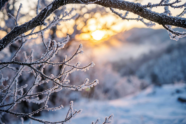 JPG 편집이미지 겨울 자연 하늘 아침 날씨 산 풍경 빛 태양 얼음 나뭇가지 차가움 기온 겨울풍경 편집실사 AI포토 AI콘텐츠 주간 자연요소 나무 계절 CG 생태계 파일형식