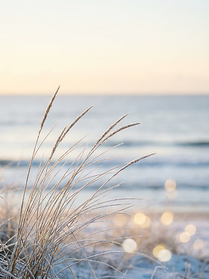 JPG 편집이미지 물결 바다 겨울 자연 바람 조명 풍경 초원 해변 햇빛 태양 일출 풀잎 뷰티풀 수평선 겨울풍경 편집실사 AI포토 AI콘텐츠 자연요소 계절 잎 날씨 노을 풀_식물 CG 생태계 파일형식