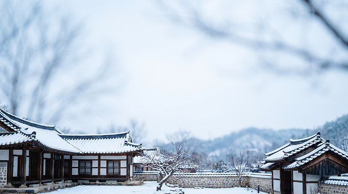 JPG 나무 편집이미지 전통 건축 문화 겨울 자연 산 한옥 한국 풍경 정원 고요 조경 눈내림 편집실사 식물 한국전통 계절 아시아 고건축 눈_날씨 CG 생태계 파일형식