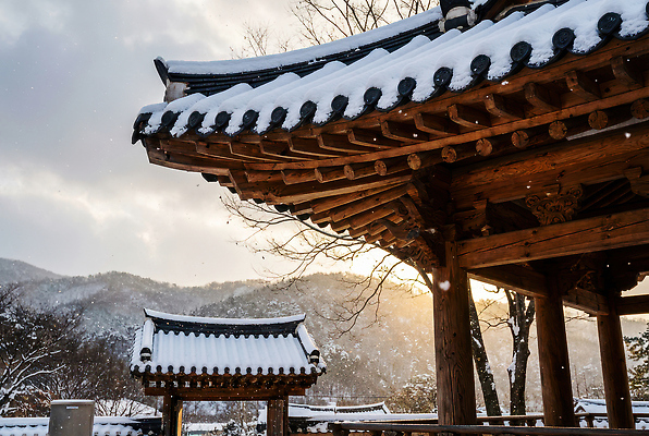 JPG 나무 편집이미지 전통 건축물 겨울 자연 산 한옥 한국 풍경 햇빛 발코니 저녁 조용 눈내림 편집실사 식물 한국전통 계절 건축 아시아 고건축 눈_날씨 태양 야간 CG 생태계 파일형식