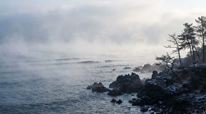 JPG 나무 편집이미지 물결 바다 섬 겨울 자연 아침 날씨 풍경 해변 일출 안개 조용 겨울풍경 편집실사 AI포토 AI콘텐츠 주간 식물 계절 노을 CG 생태계 파일형식