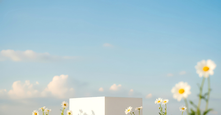 식물 계절 꽃 컬러 파란색 CG 생태계 파일형식 AI콘텐츠 큐브 하늘 풍경 자연 흰색 초원 데이지 여름 환경 백그라운드 하늘색 편집이미지 편집실사 JPG AI포토