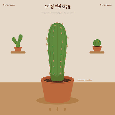 식물 디자인 컬러 가구 취미 내부 건물 생태계 파일형식 벡터 선인장 화분 선반 실내 장식 원예 인테리어 자연 수집 관엽식물 주택 초록색 식물키우기 모양 환경 AI파일 일러스트 국내일러스트 다육식물