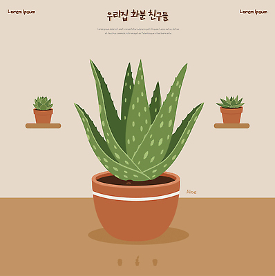 식물 디자인 컬러 가구 취미 내부 건물 생태계 정화 파일형식 벡터 알로에 실내 화분 선반 공간 초록색 인테리어 장식 조명 자연 원예 주택 환경 공기정화 건강 관리 자원 AI파일 일러스트 국내일러스트 선인장 다육식물