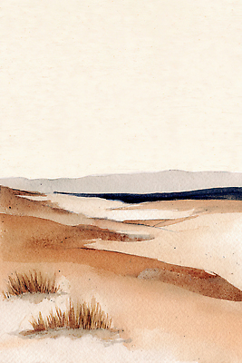 JPG 식물 예술 모래 바다 컬러 일러스트 자연 하늘 수채화 풍경 일상 물 공간 언덕 지평선 뷰티풀 전경 차분 국내일러스트 AI일러스트 AI콘텐츠 자연요소 컨셉 라이프 생태계 파일형식 탑뷰