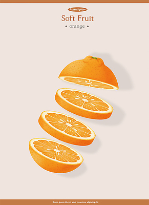 PSD 디자인 음식 상징 컬러 조각 백그라운드 오렌지 과일 일러스트 자연 건강 그래픽 디지털 주스 신선 맛 자르기 나누기 단순화된 국내일러스트 음료 컨셉 모션 생태계 파일형식