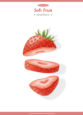 모양 PSD 디자인 응시 음식 컬러 조각 백그라운드 과일 일러스트 자연 딸기 건강 흰색 스케치 그림 비율 과일조각 먹거리 생김새 국내일러스트 시선 미술 생태계 파일형식