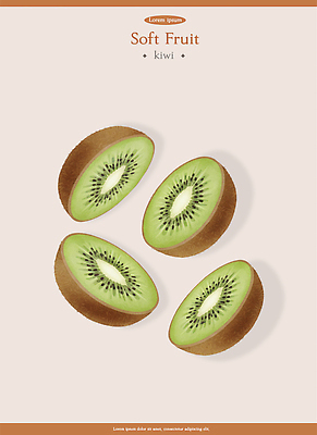 PSD 음식 컬러 과일 일러스트 자연 디저트 건강 키위 요리 씨앗 초록색 갈색 식사 자르기 질감 슬라이스 부드러움 비타민 나란히 국내일러스트 식물 모션 감각 생태계 영양소 파일형식