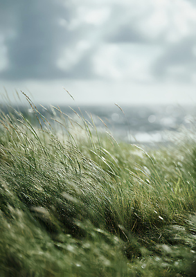 JPG 편집이미지 물결 바다 자연 하늘 바람 날씨 풍경 초록색 환경 땅 편집실사 AI포토 AI콘텐츠 자연요소 컬러 CG 생태계 파일형식