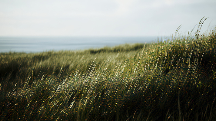 JPG 편집이미지 바다 모션 자연 바람 풍경 초원 해변 초록색 여름 햇빛 기온 편집실사 자연요소 계절 컬러 날씨 태양 CG 생태계 파일형식