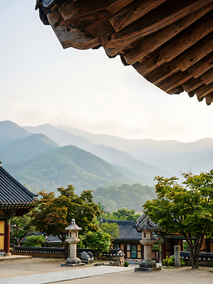 JPG 주간 나무 편집이미지 문화 여행 고건축 자연 하늘 조명 산 한옥 한국 풍경 정원 고요 대기 사찰 편집실사 AI포토 AI콘텐츠 자연요소 식물 한국전통 건축물 아시아 종교건축 CG 생태계 파일형식