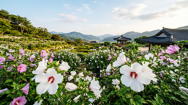 JPG 나무 편집이미지 꽃 자연 하늘 산 풍경 야외 여름 평화 정원 산책 화단 무궁화 뷰티풀 편집실사 AI포토 AI콘텐츠 식물 계절 컨셉 휴식 CG 생태계 파일형식