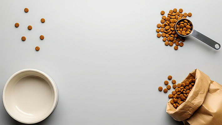 JPG 편집이미지 음식 장신구 탁자 봉투 반려동물 상자 식사 고양이 먹이 배열 계량컵 편집실사 반려용품 AI포토 AI콘텐츠 동물 가구 포유류 컵 CG 오브젝트 계량 파일형식