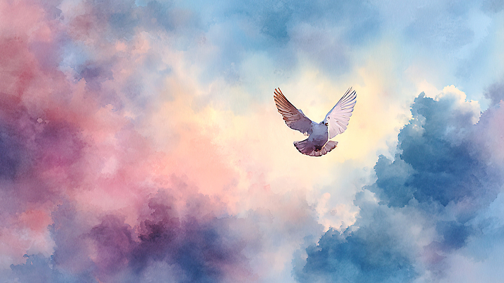 JPG 동물 컬러 백그라운드 이동 날개 일러스트 자연 하늘 생명 풍경 평화 일출 일몰 자유 비행 시간 비둘기 채색 국내일러스트 컨셉 조류 미술 노을 생태계 파일형식