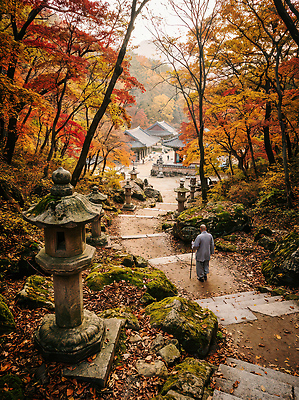 JPG 나무 편집이미지 단풍 자연 산 한국 풍경 걷기 사찰 석탑 승려 산길 편집실사 AI포토 AI콘텐츠 식물 아시아 길 잎 종교건축 모션 탑 성직자 CG 생태계 파일형식