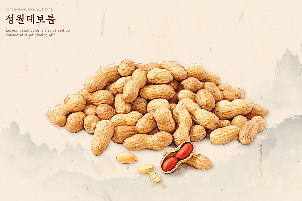 PSD 전통 음식 일러스트 재료 자연 디저트 건강 요리 농장 농사 견과류 수확 시장 볶음 땅콩 레시피 정월대보름 먹거리 국내일러스트 명절 농업 생태계 파일형식