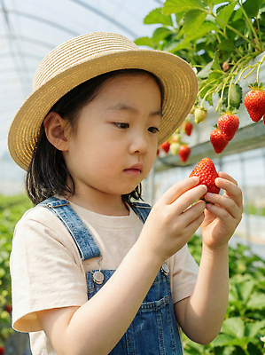 JPG 편집이미지 손 어린이 채소 과일 가족 모션 자연 딸기 여름 농장 수확 체험 즐거움 비닐하우스 따기 의료성형뷰티 딸기농장 편집실사 AI인물포토 AI콘텐츠 계절 감정 컨셉 농업 관계 사람 신체부위 CG 생태계 파일형식 AI포토