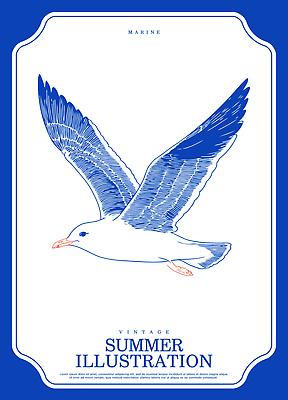 동물 디자인 예술 바다 일러스트 자연 갈매기 조류 하늘 생명 잉크 항해 여름 파란색 환경 비행 그리기 그림 드로잉 국내일러스트 AI파일 계절 컬러 배_교통 모션 미술 생태계 파일형식 벡터