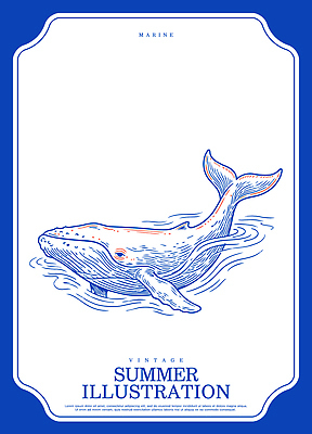 동물 디자인 예술 바다 일러스트 자연 생명 수채화 잉크 여름 파란색 수중 수영 수중동물 빈티지 고래 그림 청록색 드로잉 국내일러스트 AI파일 계절 컬러 컨셉 포유류 미술 수상스포츠 생태계 파일형식 벡터