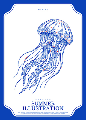 동물 디자인 예술 선 바다 과학 일러스트 자연 생물 잉크 여름 파란색 수중 수중동물 빈티지 수조 그림 드로잉 해파리 뷰티풀 국내일러스트 AI파일 계절 컬러 컨셉 미술 자포동물 생태계 파일형식 벡터