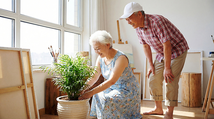 JPG 식물 편집이미지 노년 행복 화분 창문 가정 자연 함께함 실내 취미 생활 햇빛 노부부 시간 즐거움 손질 오후 의료성형뷰티 편집실사 AI인물포토 AI콘텐츠 부부 감정 컨셉 성인 내부 태양 CG 생태계 파일형식 AI포토