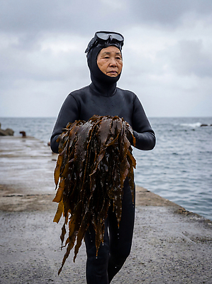JPG 편집이미지 전통 할머니 바다 어업 해변 제주도 수중 수확 작업 해조류 방파제 잠수복 해녀 의료성형뷰티 편집실사 AI인물포토 AI콘텐츠 직업 옷 공공시설 여자 노년 산업 농업 한국 해양식물 CG 파일형식 AI포토
