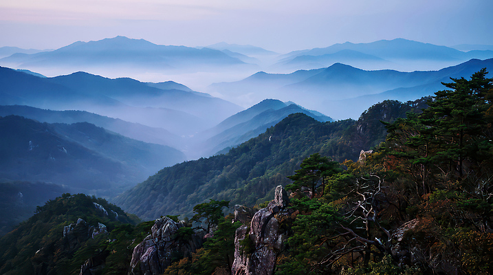 JPG 나무 편집이미지 컬러 자연 하늘 아침 바람 산 풍경 원근감 안개 저녁 주산 산맥 편집실사 AI포토 AI콘텐츠 주간 자연요소 식물 뷰포인트 날씨 야간 CG 생태계 파일형식