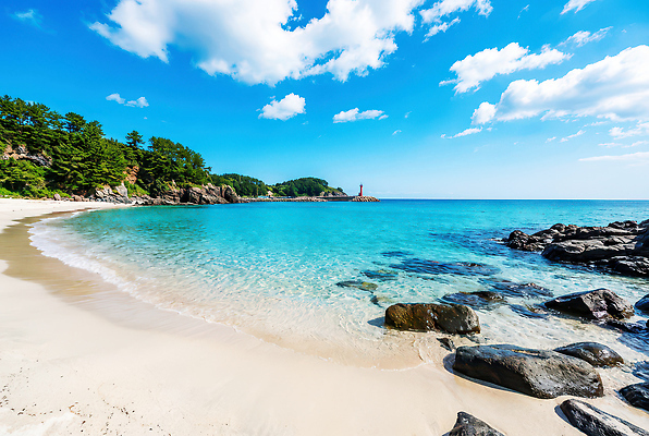 JPG 편집이미지 바다 여행 자연 하늘 한국 등대 풍경 해변 여름 물가 해수욕 편집실사 AI포토 AI콘텐츠 계절 아시아 휴가 CG 생태계 파일형식