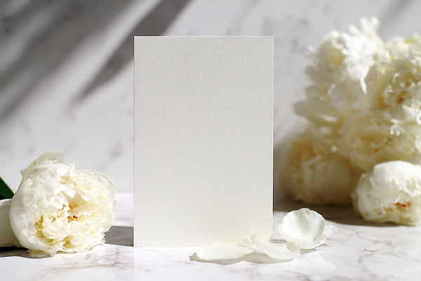 JPG 편집이미지 디자인 꽃잎 예술 백그라운드 스튜디오 장식 세로 장미 촬영 중앙 배열 오브젝트 엽서 카피스페이스 편집실사 AI포토 AI콘텐츠 꽃 공백 편지 CG 파일형식