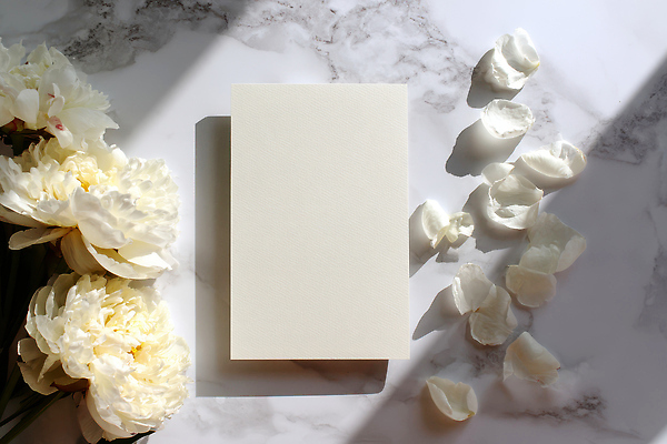 JPG 식물 편집이미지 꽃잎 꽃 백그라운드 자연 탁자 조명 장식 인테리어 햇빛 장미 공책 공간 흰색 오브젝트 엽서 뷰티풀 카피스페이스 편집실사 디자인 컬러 가구 문구용품 태양 공백 편지 CG 생태계 파일형식