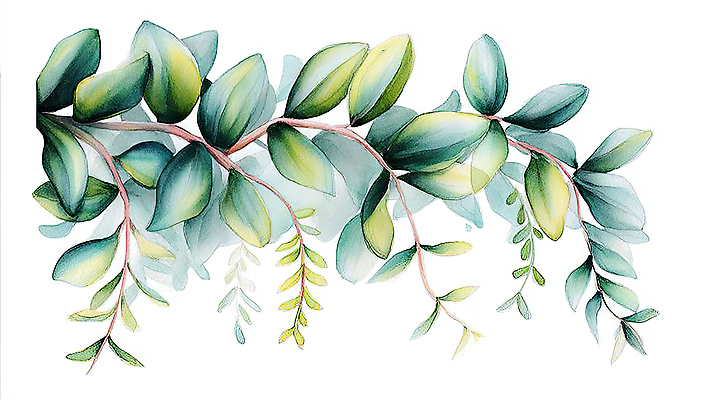 JPG 모양 식물 디자인 예술 줄기 백그라운드 잎 일러스트 자연 수채화 장식 초록색 디지털 그리기 그림 원예 식물원 심플 보테니컬아트 국내일러스트 AI일러스트 AI콘텐츠 컬러 모션 취미 생태계 파일형식