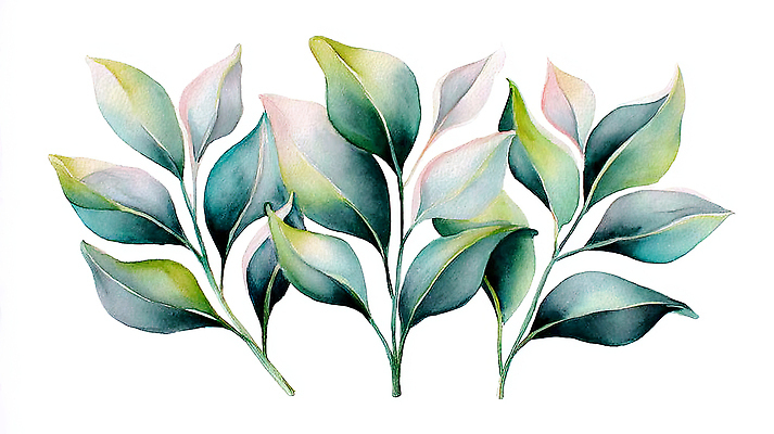 JPG 모양 식물 디자인 예술 컬러 백그라운드 잎 일러스트 자연 수채화 장식 초록색 정원 전시 공간 그림 식물원 관람 밝은색 특징 보테니컬아트 국내일러스트 AI일러스트 AI콘텐츠 생태계 파일형식