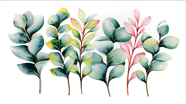 JPG 모양 식물 디자인 예술 컬러 백그라운드 잎 일러스트 자연 생명 수채화 배열 그림 뷰티풀 자연물 보테니컬아트 국내일러스트 AI일러스트 AI콘텐츠 생태계 파일형식