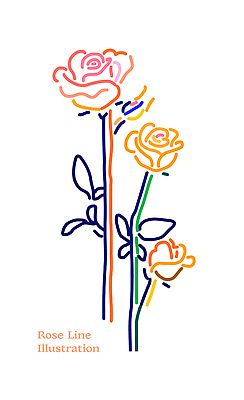 모양 디자인 꽃 예술 선 줄기 컬러 잎 라인일러스트 일러스트 장식 장미 표현 크기 그림 드로잉 조화 주목 국내일러스트 AI파일 식물 미술 파일형식 벡터