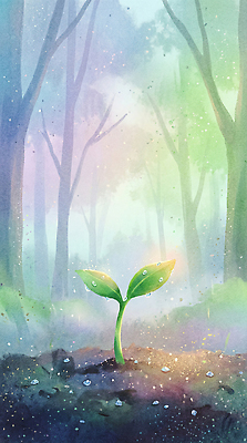 JPG 나무 식물 일러스트 자연 생명 날씨 초록색 물 빛 환경 흙 안개 성장 물방울 신선 봄비 숲속 숲 땅 기온 국내일러스트 AI일러스트 AI콘텐츠 자연요소 컬러 봄 비_날씨 생태계 파일형식