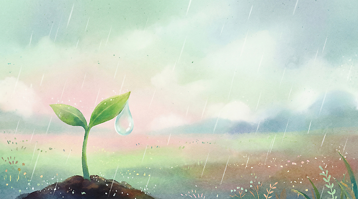 JPG 식물 잎 일러스트 자연 생명 날씨 씨앗 풍경 초록색 환경 흙 성장 물방울 봄비 작음 생태계 뿌리 장면 심기 국내일러스트 AI일러스트 AI콘텐츠 컬러 모션 봄 비_날씨 크기 파일형식