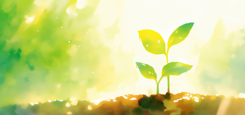 JPG 식물 계절 잎 농업 일러스트 자연 생명 수채화 야외 파란색 햇빛 새싹 환경 정원 촉촉함 성장 발전 변화 땅 뿌리 국내일러스트 AI일러스트 AI콘텐츠 산업 컬러 컨셉 태양 젖음 생태계 파일형식