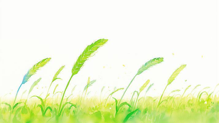 JPG 식물 컬러 백그라운드 농업 일러스트 자연 생명 바람 곡류 풍경 초원 일상 초록색 햇빛 농장 환경 농사 성장 흔들림 청보리 국내일러스트 자연요소 산업 모션 날씨 라이프 태양 생태계 보리 파일형식
