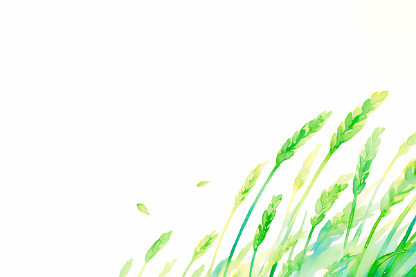 JPG 식물 예술 잎 일러스트 모션 자연 바람 수채화 풍경 초원 초록색 여름 환경 흔들림 장면 생동감 청보리 국내일러스트 AI일러스트 AI콘텐츠 자연요소 계절 컬러 날씨 생태계 보리 파일형식