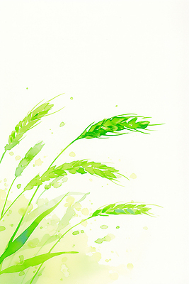 JPG 식물 응시 예술 백그라운드 일러스트 자연 생명 추상 잔디 초원 초록색 여름 농작물 성장 흔들림 그림 장면 수공예 청보리 국내일러스트 AI일러스트 AI콘텐츠 시선 계절 컬러 무늬 농업 모션 공예 생태계 보리 파일형식