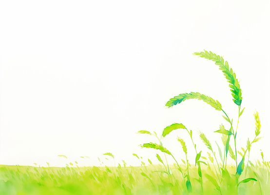 JPG 식물 계절 잎 농업 일러스트 자연 하늘 생명 풍경 초원 초록색 파란색 농작물 햇빛 환경 수확 성장 땅 뿌리 만개 청보리 국내일러스트 AI일러스트 AI콘텐츠 산업 컬러 태양 생태계 보리 파일형식