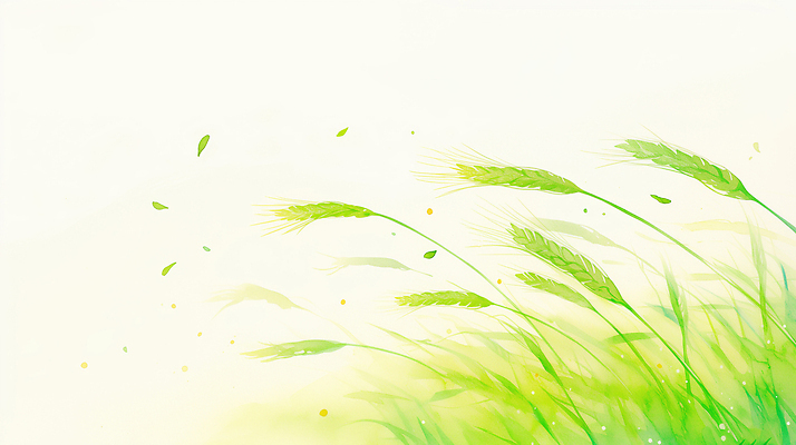 JPG 식물 계절 줄기 잎 농업 일러스트 자연 바람 풍경 초록색 여름 환경 농사 수확 성장 농촌 시골 크기 밀 흔들림 꽃가루 청보리 국내일러스트 AI일러스트 AI콘텐츠 자연요소 산업 컬러 모션 날씨 곡류 가루 생태계 보리 파일형식